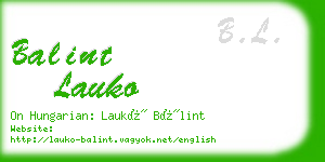 balint lauko business card